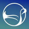 Swan Interiors